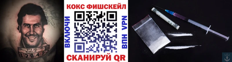 как найти закладки  Новодвинск  Кокаин Fish Scale 